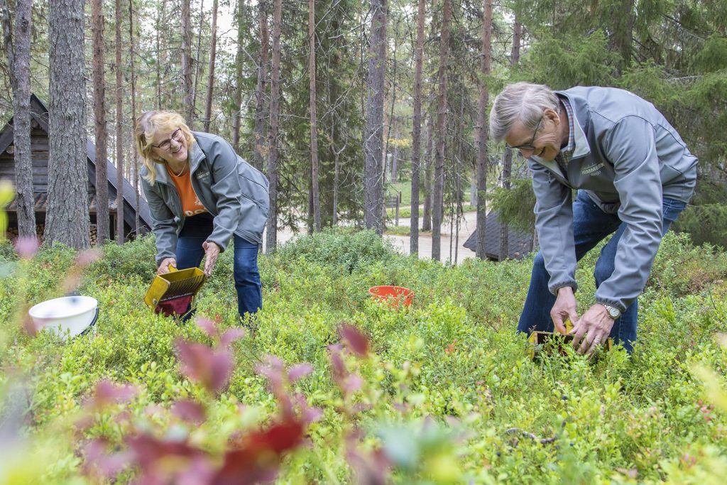 sustainable travel finland login