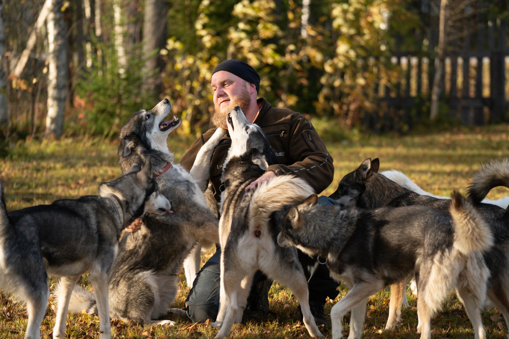 huskyt ja omistaja kesällä