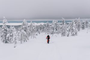 Riisitunturi winter trail